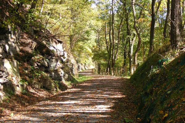 Path of the Flood Trail