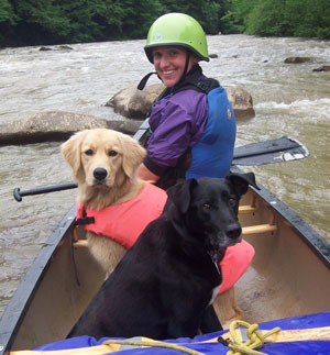 Stonycreek  Whitewater Course at Greenhouse Park