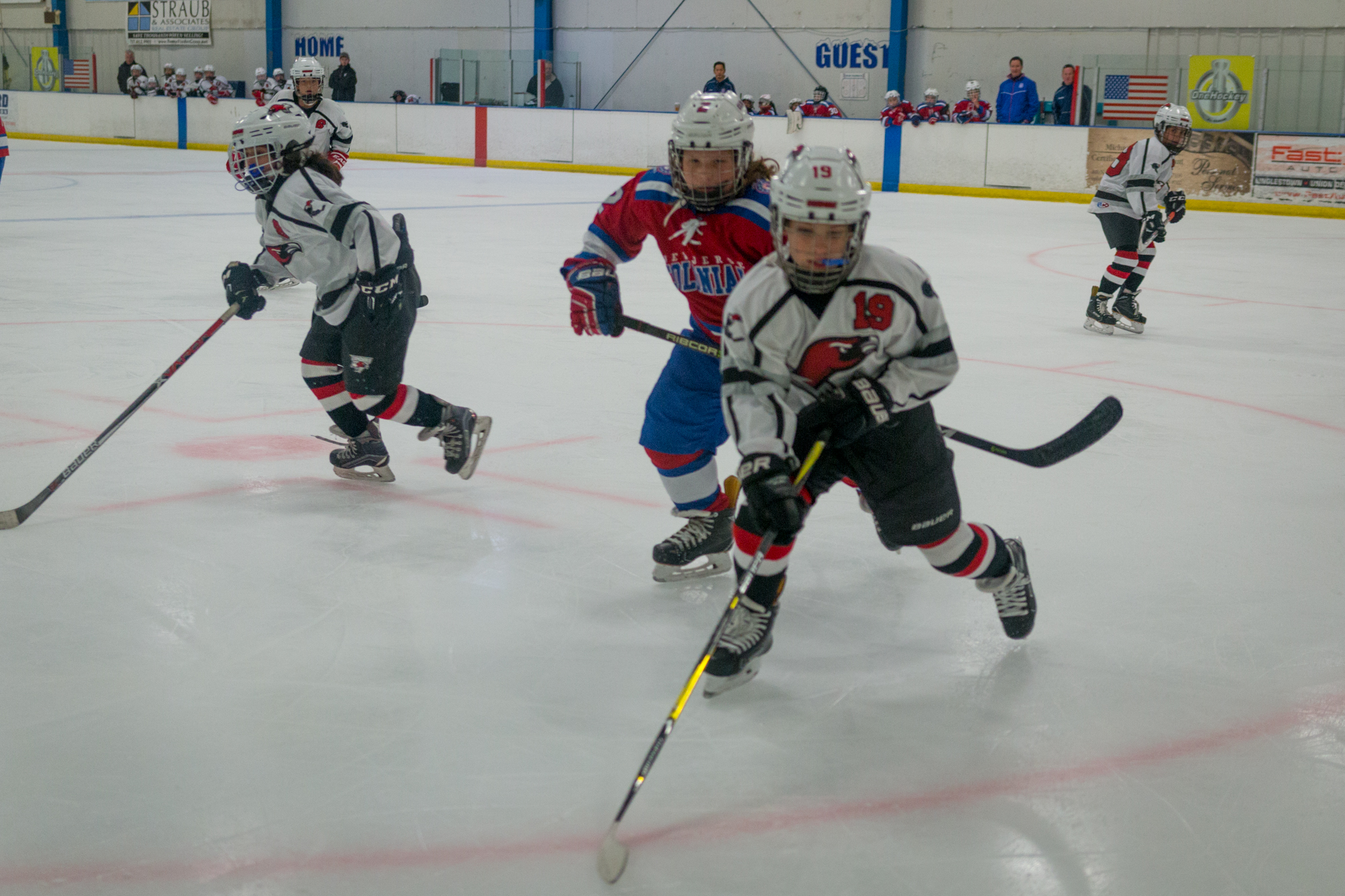 people playing ice hockey